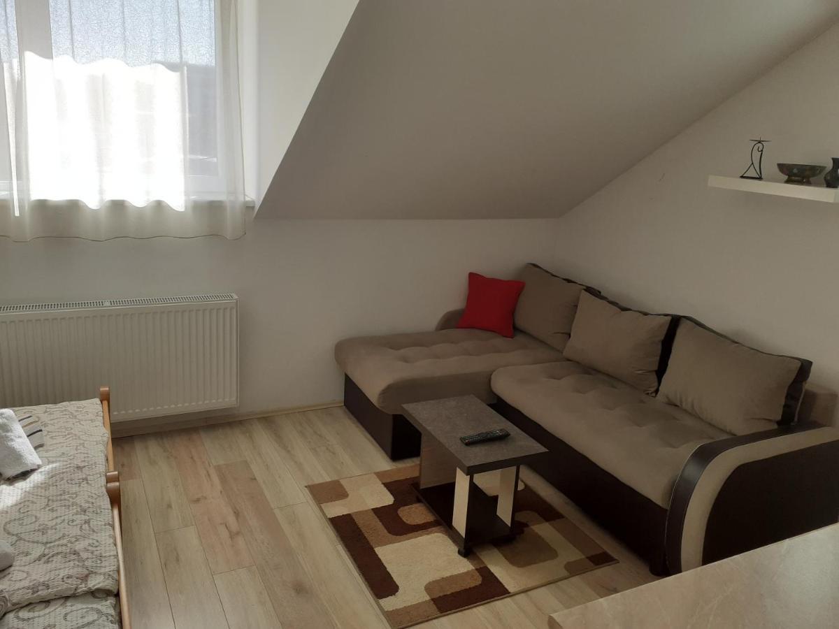 Nadja Apartment Novi Sad Bagian luar foto