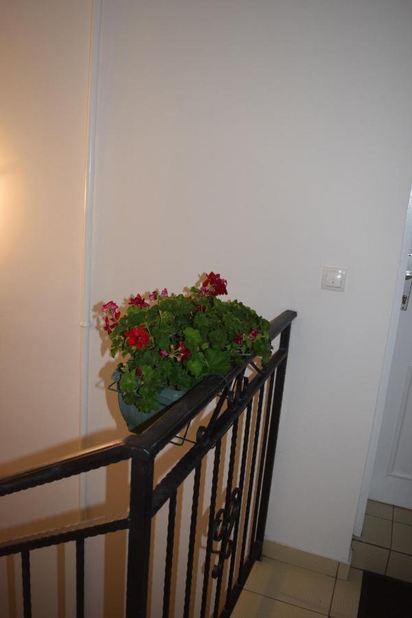Nadja Apartment Novi Sad Bagian luar foto