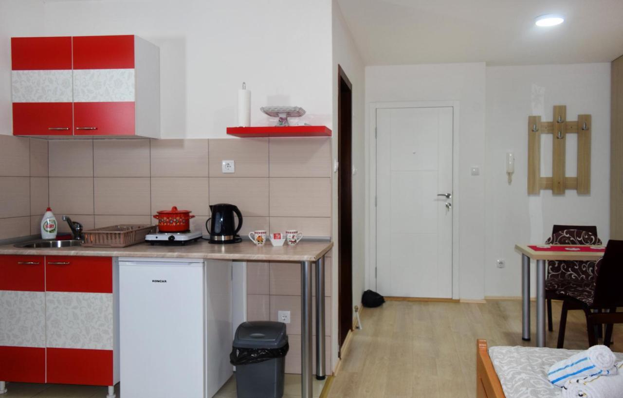 Nadja Apartment Novi Sad Bagian luar foto
