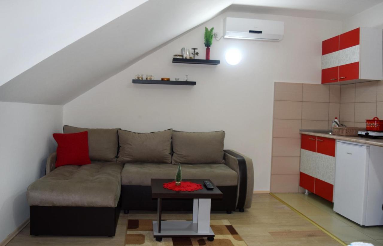 Nadja Apartment Novi Sad Bagian luar foto