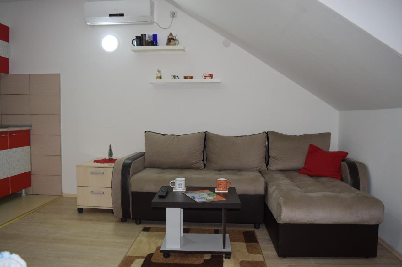 Nadja Apartment Novi Sad Bagian luar foto